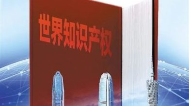 Photo of 联合国报告：中国创新集群跃居全球第一
