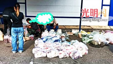 Photo of 无合法进口文件 60公斤泰国熟食全被充公