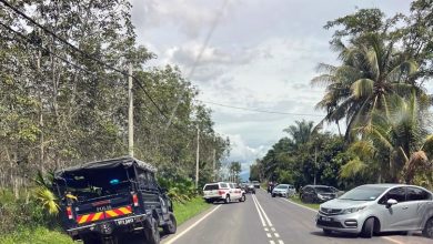 Photo of 胶园割胶惊见白骨 遗体疑似失踪男