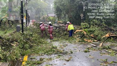 Photo of 狂风暴雨致隆17地点风灾倒树 消拯局：无人命伤亡
