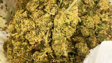 Photo of 胡申：大麻花液化混入潮饮电子烟 成新贩毒趋势