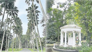 Photo of 【自游自在】绿野环绕清凉地