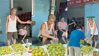 Photo of 吴克群摆摊卖百香果 暴瘦吓傻粉丝
