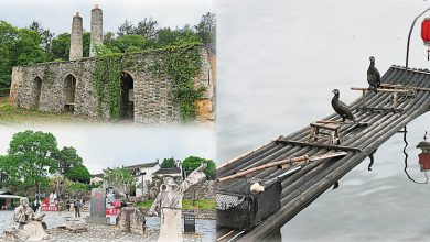 Photo of 【好吃好玩】安徽文旅 登黃山 逛古城 玩旅拍