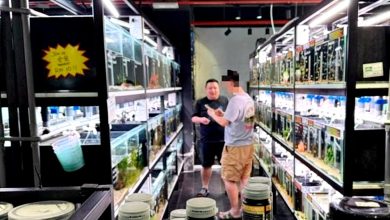 Photo of 水族店RM1600误收RM1.6？ 顾客主动认错上门结清 业者：诚实正直依然存在