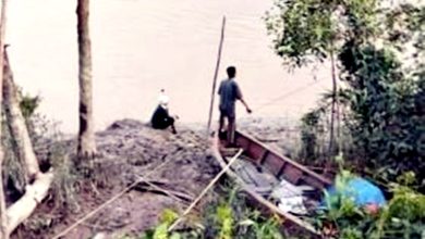 Photo of 河岸捕虾遭鳄鱼攻击 男子被拖下水失踪