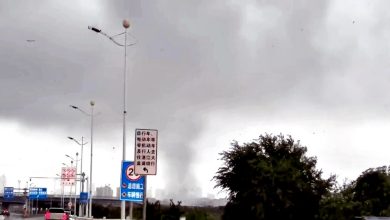 Photo of 台风博罗依引发强对流 湛江多地惊现龙卷风