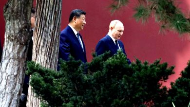 Photo of 中俄领袖会谈后 普汀赴习近平官邸茶叙 散步片段公开