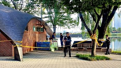 Photo of 韩军官死在公园 身上有枪伤 现场发现步枪