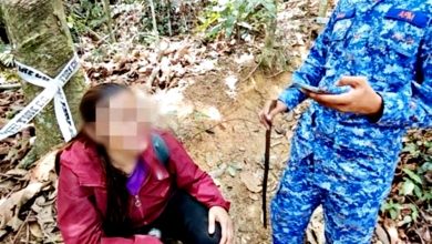 Photo of 女子爬山惊魂求救 疑误认野猪为老虎
