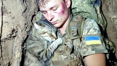 Photo of 乌克兰“士兵抱猫入睡”惹泪 疑AI生成图 连鉴定APP都说不准