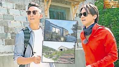 Photo of 吴彦祖冯德伦心血 遭台风肆虐成废墟