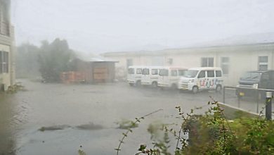 Photo of 颱风袭日本伊豆群岛 树倒停电车辆翻覆