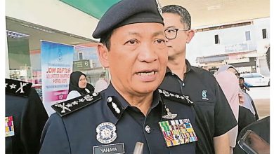 Photo of 彭总警长：树倒酿1死2伤 调查鉴定营地安全