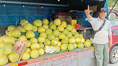 Photo of 巫裔卖华裔应节水果 被称仁政昌明水果商