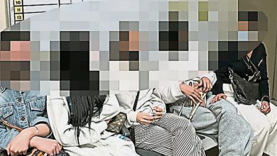 Photo of 护照盖章疑伪造 5越女逾期逗留被捕
