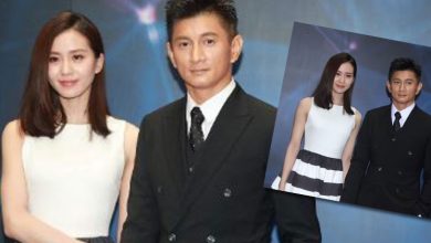Photo of 刘诗诗挺吴奇隆新剧  粉碎夫妻关係不OK