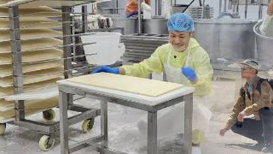 Photo of 敖嘉年 素食旅程缘起马来西亚