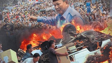 Photo of 印尼与泰国不一样的  落地生根环境