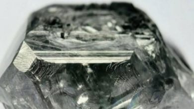 Photo of 打破世界纪录！ 中国培育钻石  156.47克拉