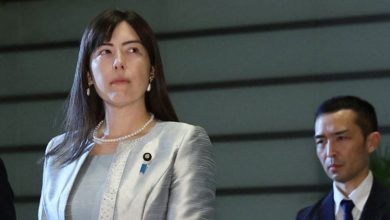 Photo of 日混血女阁员 誓整顿外国人