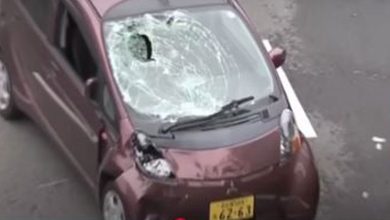 Photo of 71岁翁“高速逆向”撞死行人  警:司机疑患失智症