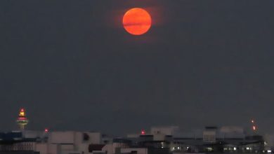 Photo of 超级月亮“丰收月”登场 狮城民众分享美图