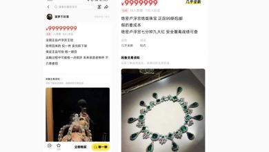 Photo of 罗浮宫被窃珠宝出现二手平台？网酸“中国速度”