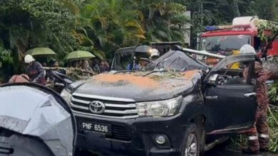 Photo of 大树突倒压中Hilux 男司机当场丧命