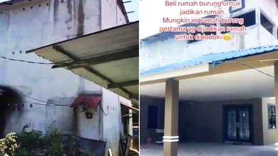 Photo of 废弃燕屋变温馨住宅 网赞真正梦想家