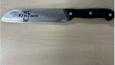 Photo of 不满男友谎称离婚实未离婚 34岁女郎挥刀怒切男友下体