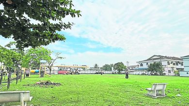 Photo of 巴生王城市厅拨逾37万 提升圣淘沙50路草场