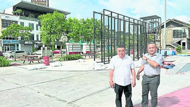 Photo of 雷宝翔：SDG公园提升中 建议办活动吸引休闲