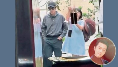 Photo of 传生二胎儿子凑好字 胡歌老婆同框看豪宅