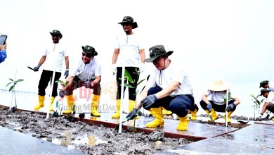 Photo of BCTP附近红树林种植活动〡曹观友:发展与环保并肩 槟种红树林成果丰硕