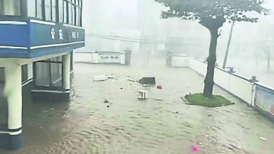Photo of 二度登陆中国 麦德姆扑向广西沿海
