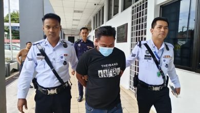 Photo of 被控吸毒驾驶致死日本人 旅巴司机不认罪