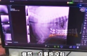 Photo of 【视频】肥胖是“福”！狗被车碾安然无恙