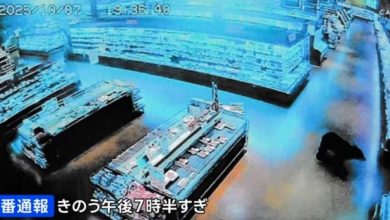 Photo of 【视频】黑熊闯进日本超市扑倒顾客 致两人伤