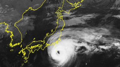 Photo of 台风哈隆强袭日本伊豆群岛树倒停电 八丈岛雨量创新高