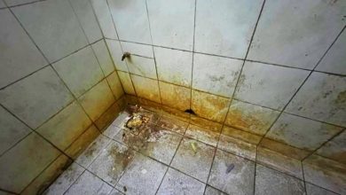 Photo of 好心帮贫户变恶梦！公寓出租1年发黑发臭还断水