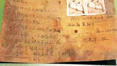Photo of 废弃邮筒夹著11年前明信片 全网助力寻获收信人