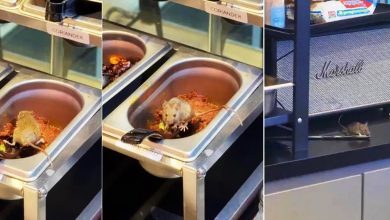 Photo of 自助快熟面店现“不速之客” 食客：酱料容器现鼠踪