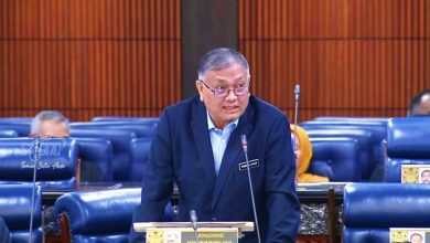 Photo of 【国会】筛查高风险入境者 旅客预先安检系统12月启用