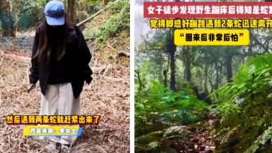 Photo of 她以为踩到“弹跳床”开心狂跳！下一秒发现竟是蛇窝 网惊呼：你命真大