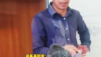 Photo of 男子直播时被毒蛇咬伤 嫌太贵拒打血清手变形