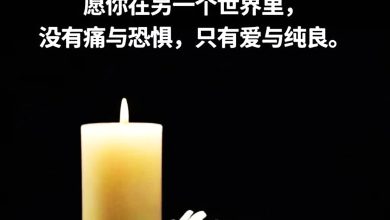 Photo of 校园凶杀案〡张念群呼吁家长反思 是否真正了解孩子