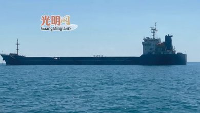 Photo of 伪造海关档案进口铁矿石 2中国男子被罚60万