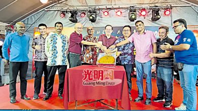 Photo of 林冠英:团队助解决民生问题 阿逸布爹环境持续提升