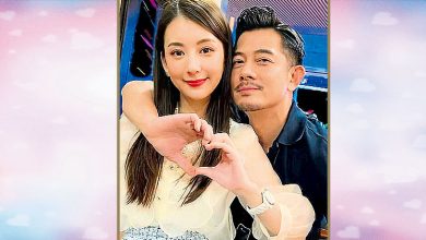 Photo of 城城停工爽迎儿子 方媛疑已生男宝